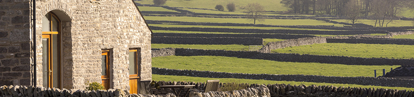 Find out about the benefits of biomass energy for your home.