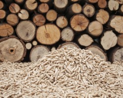 How much does wood biomass heating cost?